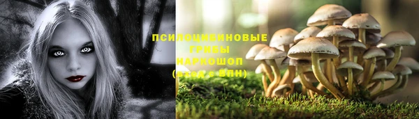 МДПВ Бронницы