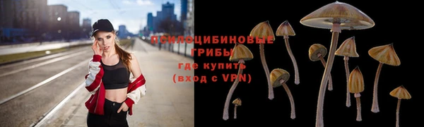 гашик Бугульма