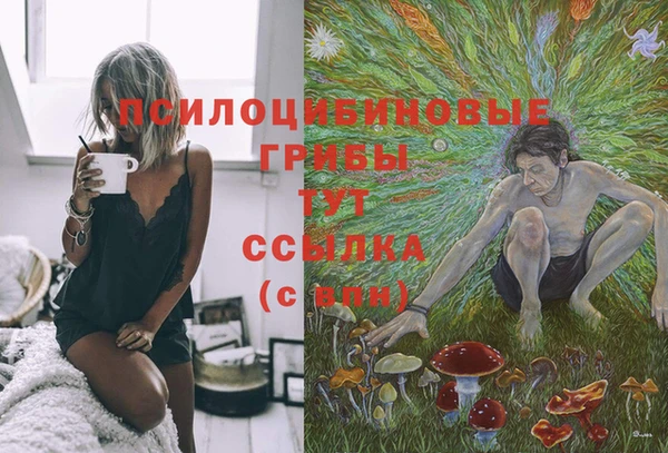 MESCALINE Бородино