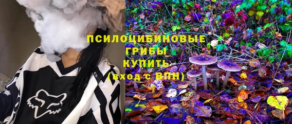 дурь Пестово