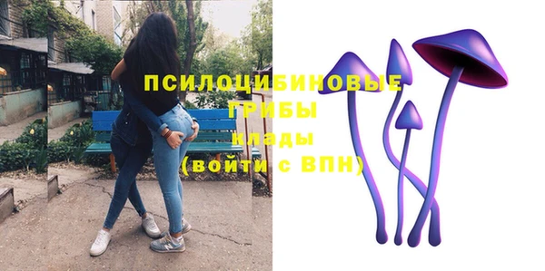 бутират Верхний Тагил