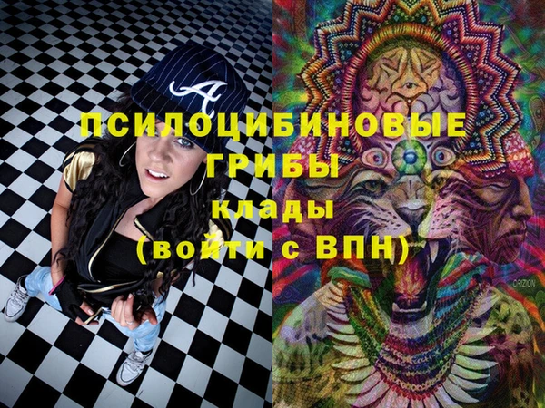 прущая мука Верея