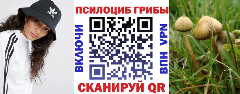 Псилоцибиновые грибы Psilocybe  наркотики  Новохопёрск 