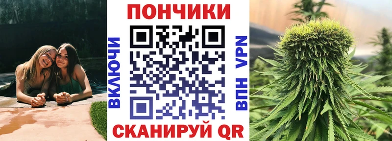 Шишки марихуана ГИДРОПОН Новохопёрск